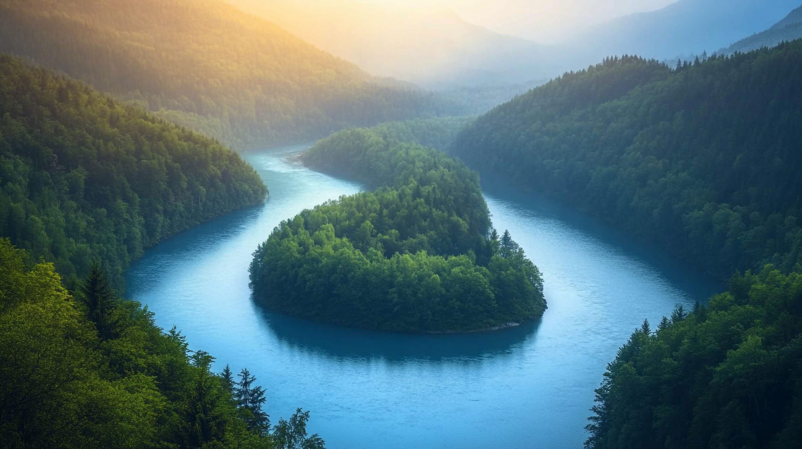 Forest lake