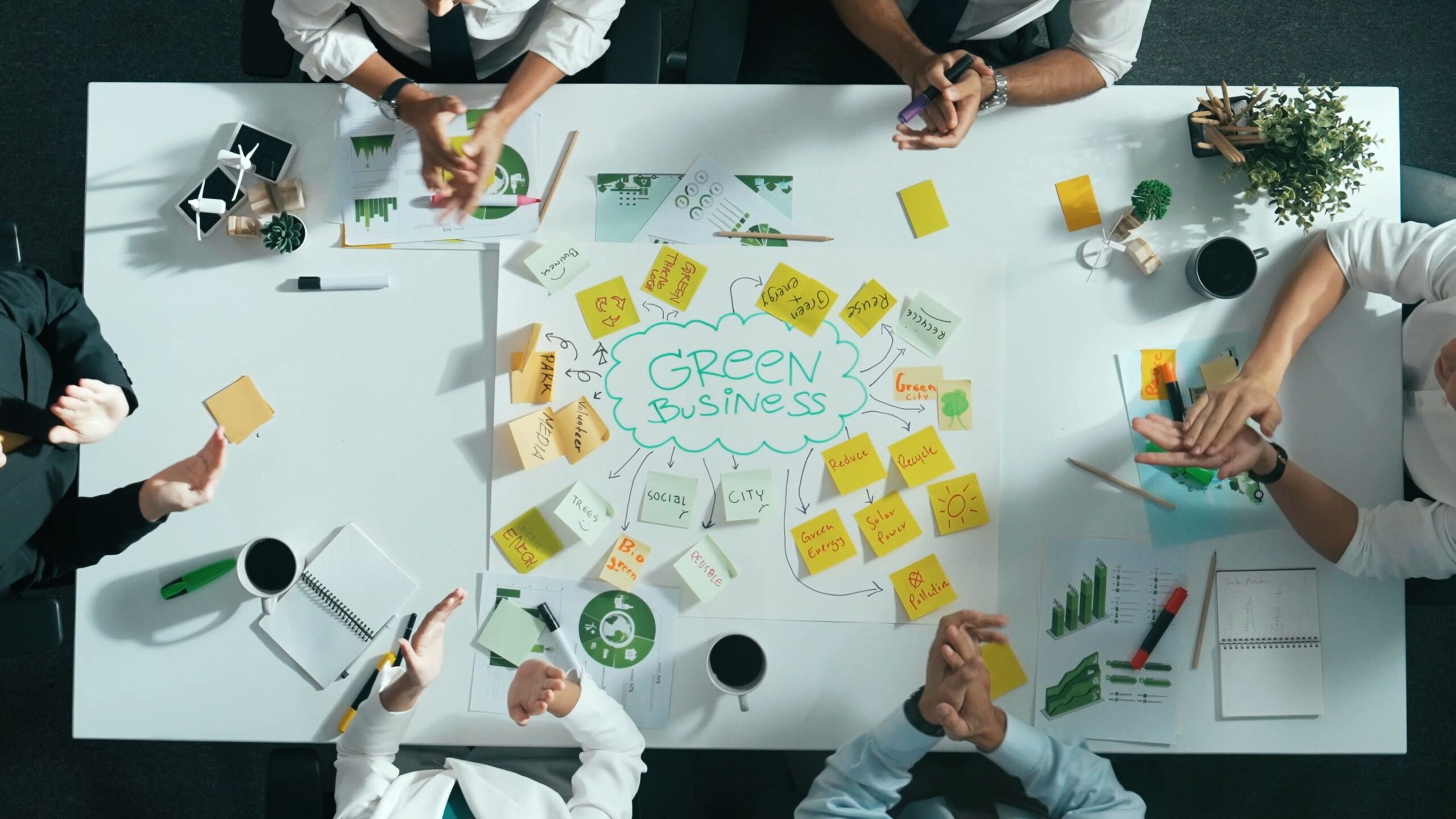 Sustainability Consulting
