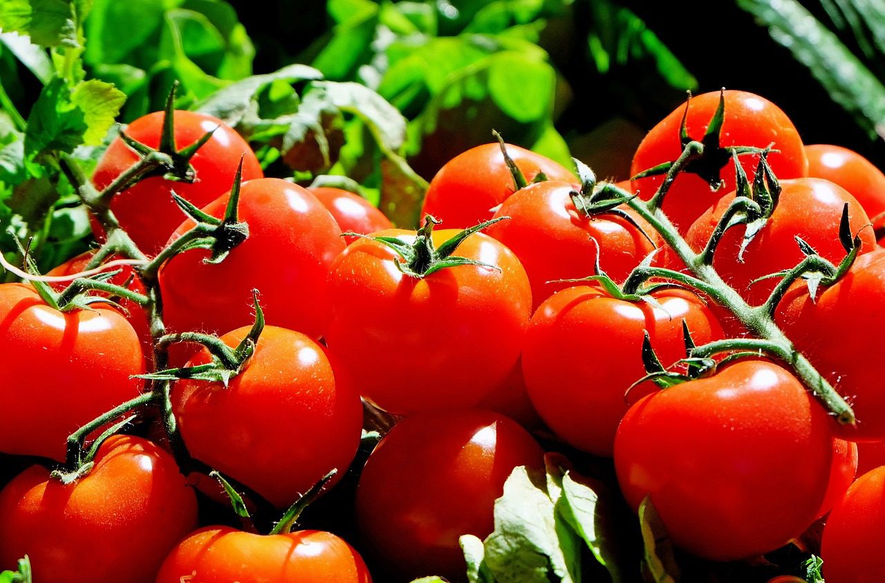 Sustainability Guide